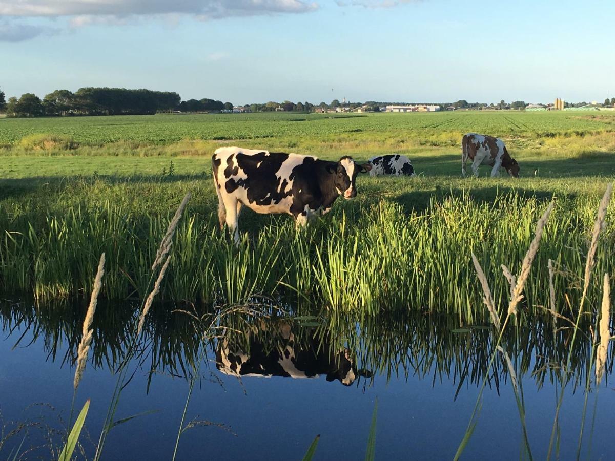 Groeten Uit Hoogmade - Rural Cottage Kültér fotó